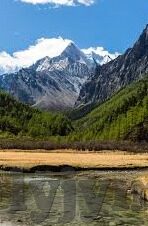 成人色情视频在线播放-成人色情视频的在线播放，理解、影响与责任