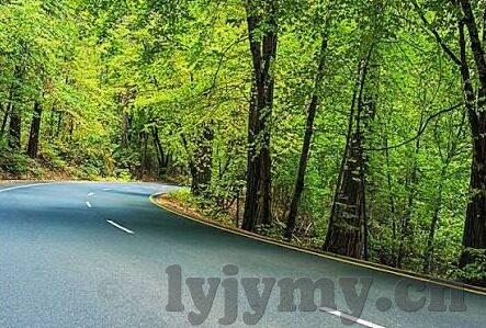 国产麻豆精东果冻乌鸦传媒-国产原创风潮下的新风味——麻豆精东果冻与乌鸦传媒的碰撞