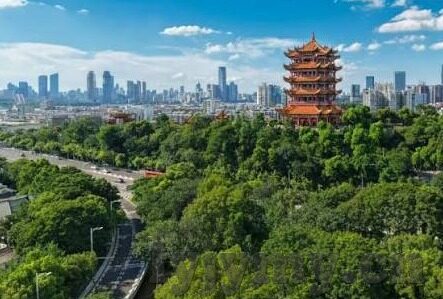 果冻传媒官方入口在线-探索果冻传媒官方入口的多元化魅力