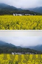 麻豆传媒人物-麻豆传媒，见证新世代数字传播力下的艺术革新与角色转变