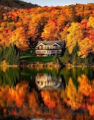 麻豆果冻传媒精品一区-麻豆果冻传媒，打造高质量在线内容的新势力