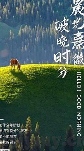 糖心app苹果软件下载-撩动心弦的甜蜜探索——糖心APP在苹果设备的世界