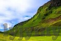 糖心app收费下载安装-简析用户需求与体验
